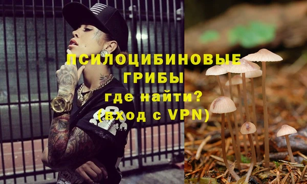 дживик Протвино