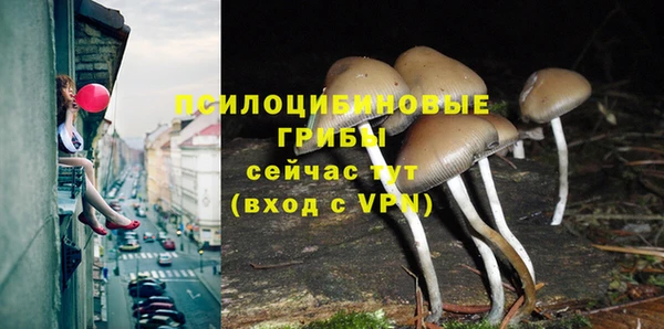 дурь Алексеевка
