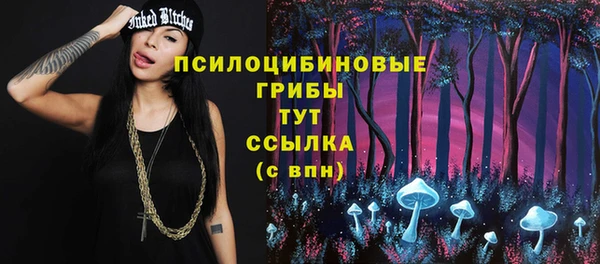 стаф Алзамай