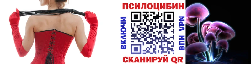 купить закладку  Жигулёвск  Псилоцибиновые грибы Psilocybe 
